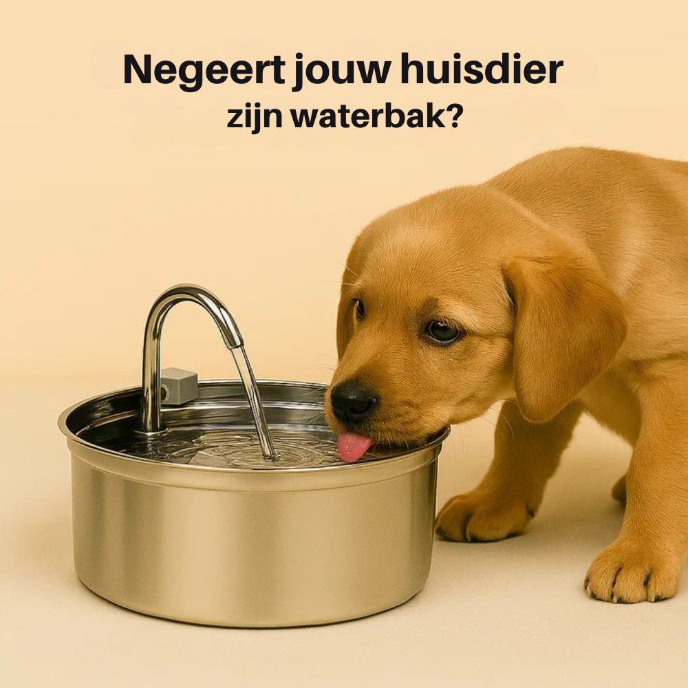 Geef je hond jaren extra met het drievoudig filtratiesysteem van Morbix