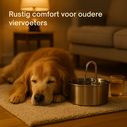 Geef je hond jaren extra met het drievoudig filtratiesysteem van Morbix