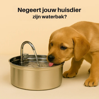 Geef je hond jaren extra met het drievoudig filtratiesysteem van Morbix