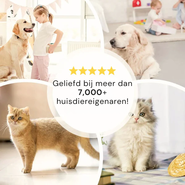 Morbix™ Pro Handschoen – Zeg Vaarwel Tegen Dierenhaar